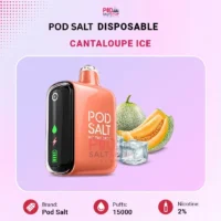 Pod Salt Cantaloupe Ice 15000 Puffs Disposable