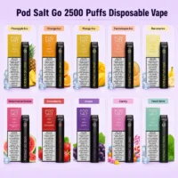 Pod Salt Go 2500 Puffs Disposable Vape