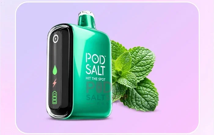 Best Pod Salt Flavours in Dubai: Beginner's Guide 13 Pod Salt Fresh Mint 15000 Puffs Disposable